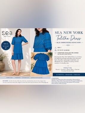 Sea New York Talitha Dress Blue Embroidered Boho Mini Size 2